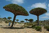 IMG_4996 Dixsam, Socotra